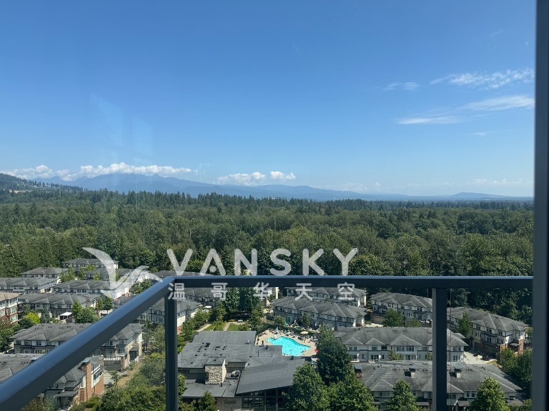 250724121750_IMG_1839 2.jpeg